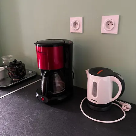 Rdc Avec Jardin En Centre-ville Grisolles (Tarn-et-Garonne)