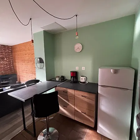Appartamento Rdc Avec Jardin En Centre-ville Grisolles (Tarn-et-Garonne)