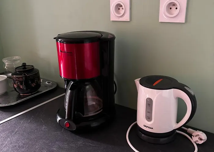 Rdc Avec Jardin En Centre-ville Grisolles (Tarn-et-Garonne)