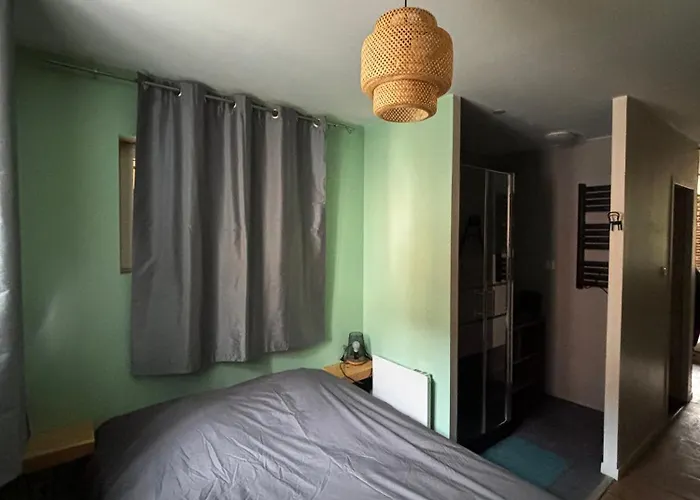 Rdc Avec Jardin En Centre-ville Apartamento