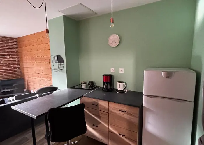 Apartamento Rdc Avec Jardin En Centre-ville Grisolles (Tarn-et-Garonne)